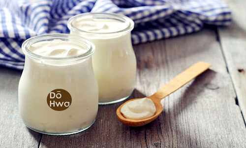 Alles, was Sie über Joghurt wissen müssen