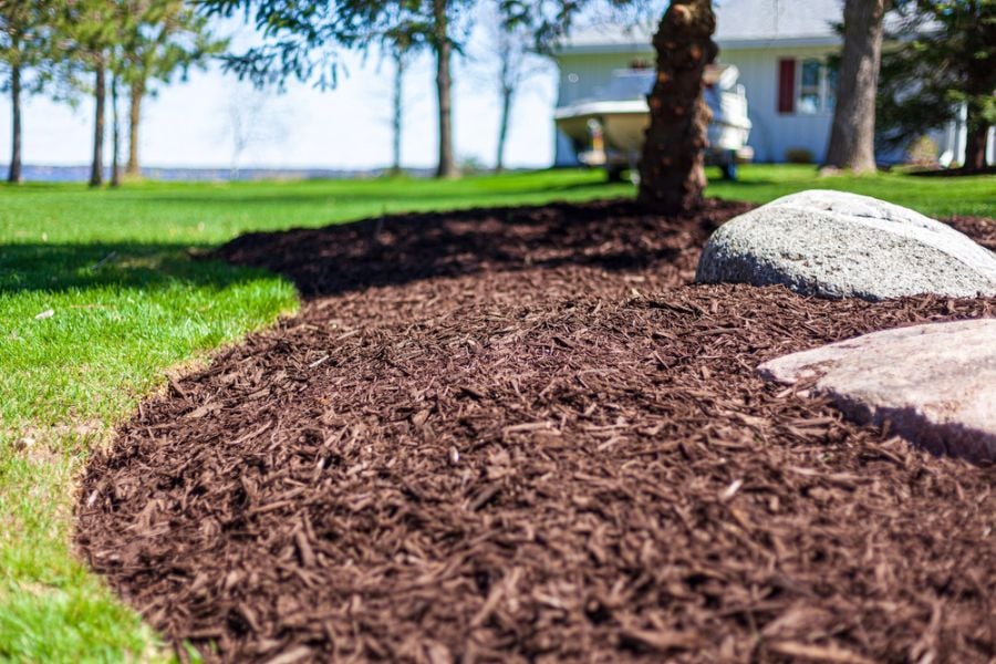 5 Effective Ways to Keep Mulch from Blowing Away