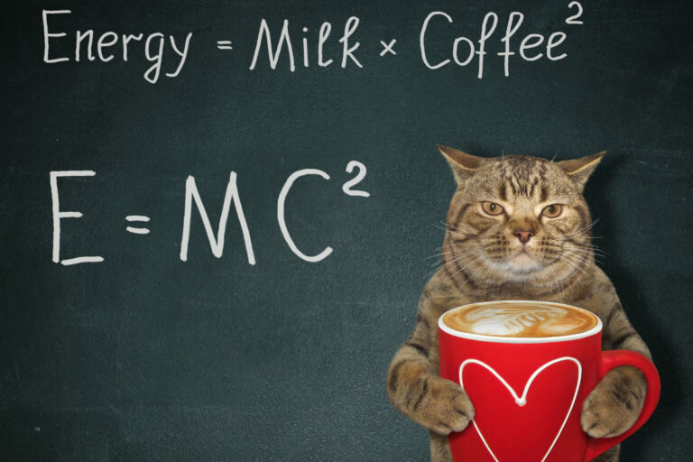 13 Best Scientist Katzennamen für Ihr cleveres Kätzchen