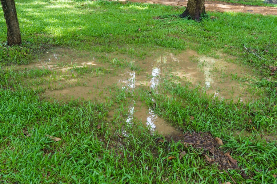 7 Effective Ways to Stop Water From Pooling in Your Yard