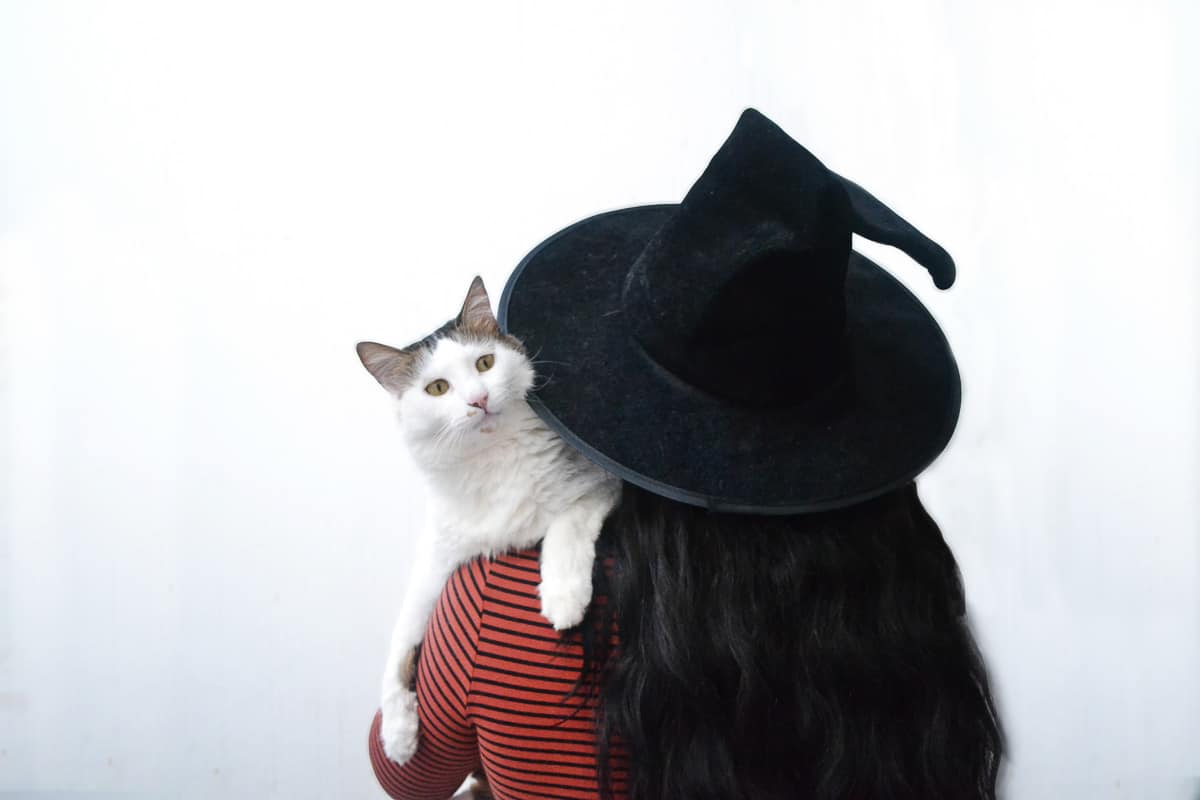 Person mit schwarzem Hut von hinten gesehen mit einer weißen Katze