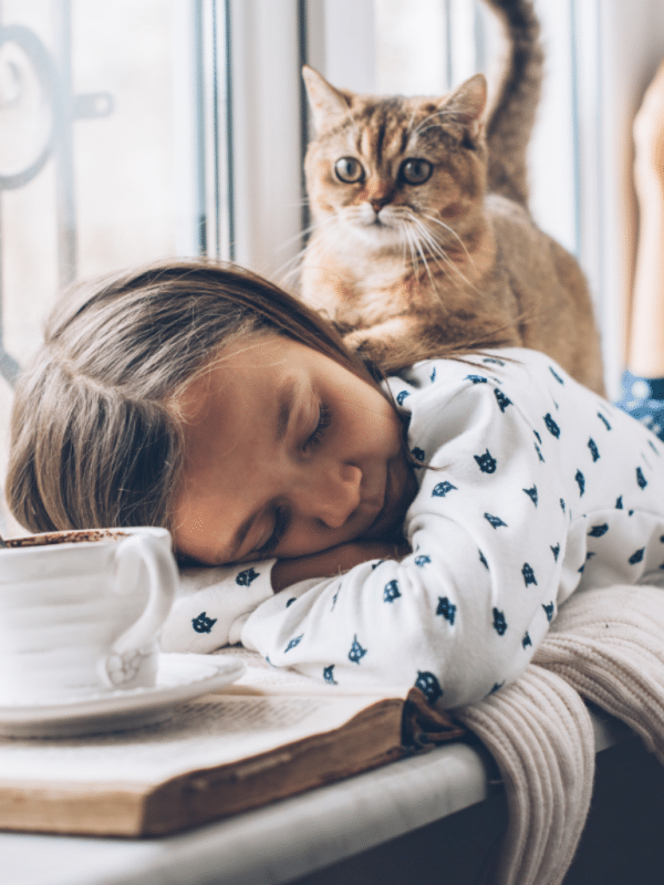 Tabby Katze auf junges Mädchen schlafend