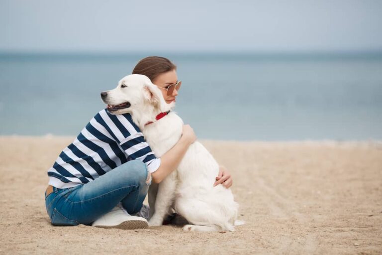 20 der besten Hunde für Angstzustände, um Ihnen zu helfen, sich besser zu fühlen