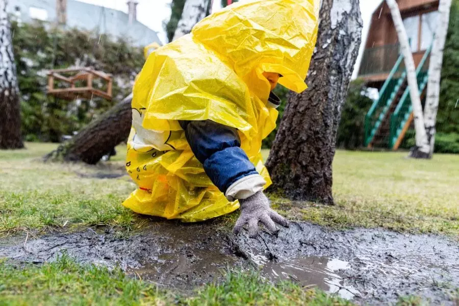 7 Effective Ways to Dry Up a Muddy Yard