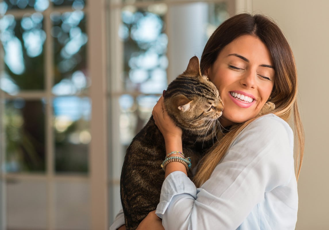 Junge schöne Frau lächelt und kuschelt Katze mit Liebe zu Hause