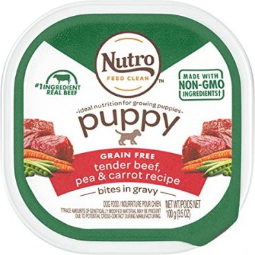 Nutro Grain Free Wet Dog Food Erwachsene & Welpe