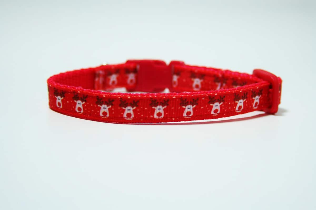 Rentier-Weihnachtskatzenhalsband