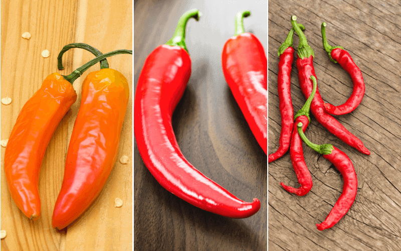 5 Beste Ersatzstoffe für rote Chilischote (mit Fotos)