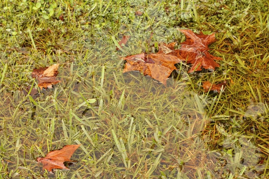 4 Effective Ways to Stop Yard Flooding