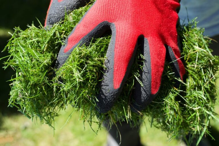 6 großartige Möglichkeiten, Ihre Grasausschnitte zu lagern