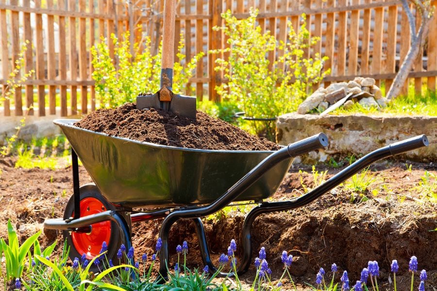 Soil vs. Compost (And How They Can Work Together)