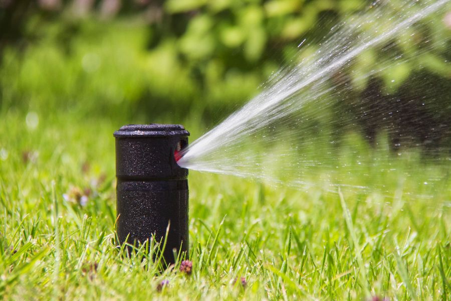How to Clean Your Sprinkler Heads (Step By Step)