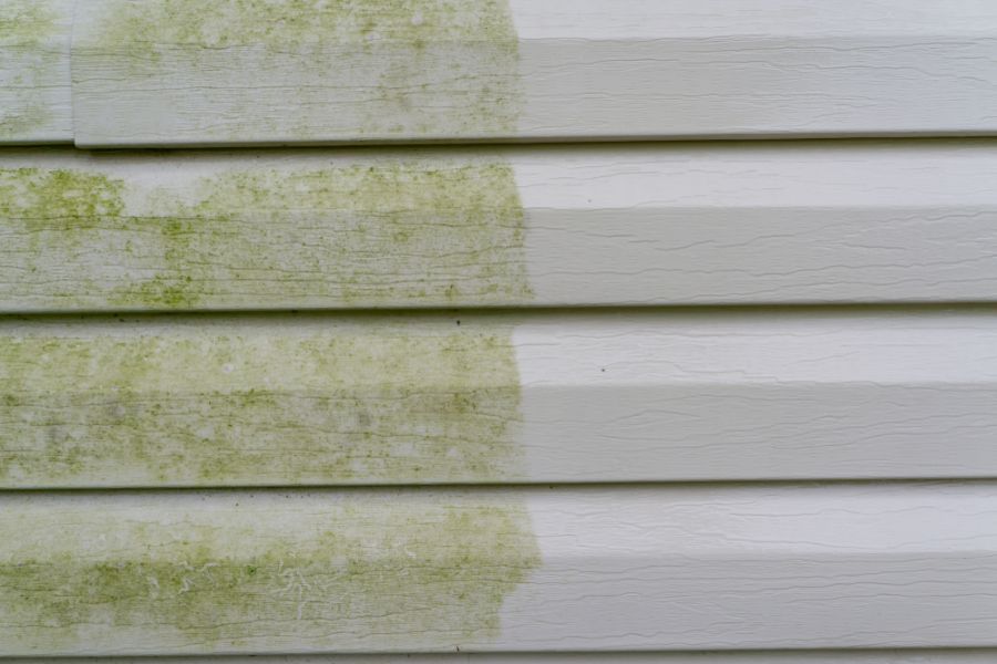 How to Clean Vinyl Siding Without a Pressure Washer (Step by Step)
