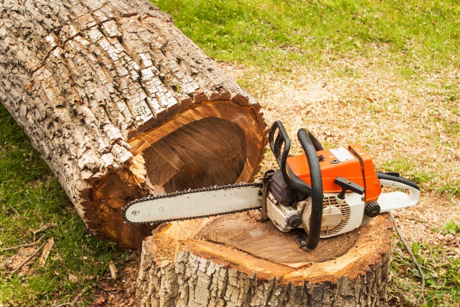 Why Are Chainsaws So Loud? (And How to Protect Your Hearing)