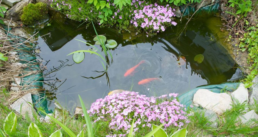 How to Hide a Pond Liner (And Why You Should)